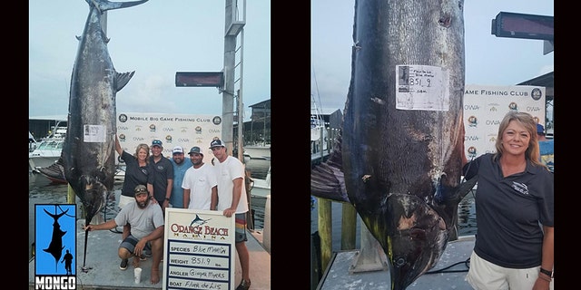 Ginger Myers, pictured, reeled in an 851.9-pound blue marlin during an Alabama fishing tournament on Saturday, in a multiple pending-record catch.