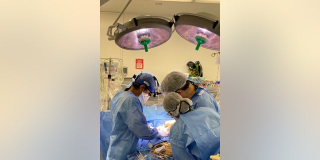 Dr. Ismail El-Hamamsy, director of aortic surgery for the Mount Sinai Health System, conducting surgery. (Photo credit: Mount Sinai Health System)