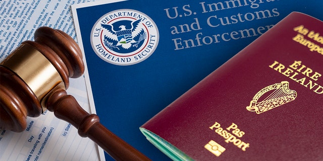 ICE Boston says an Irish national with a criminal conviction in Northern Island has been "removed."