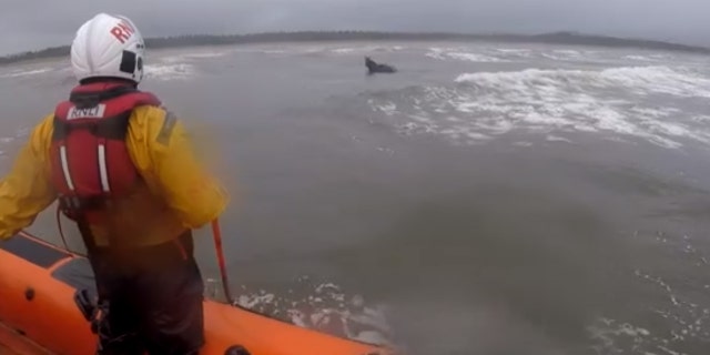 Westlake Legal Group IrelandHorse_2 Horse rescued by lifeboat crew in Ireland after bolting out a mile into sea Travis Fedschun fox-news/world/world-regions/ireland fox-news/world/world-regions/europe fox-news/world/disasters/disaster-response fox-news/world/disasters fox-news/weather fox-news/science/wild-nature/mammals fox news fnc/world fnc article 08ce6a4f-4869-5df7-9799-0c5cb6103f5a