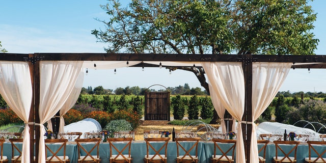 Many wineries and leisure activities have reopened in the area.