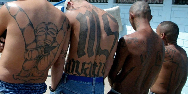 Four unidentified members of the Mara Salvatrucha "MS-13" show their tattoos in the unit where they are kept imprisoned in the National Penitentiary in Tamara.