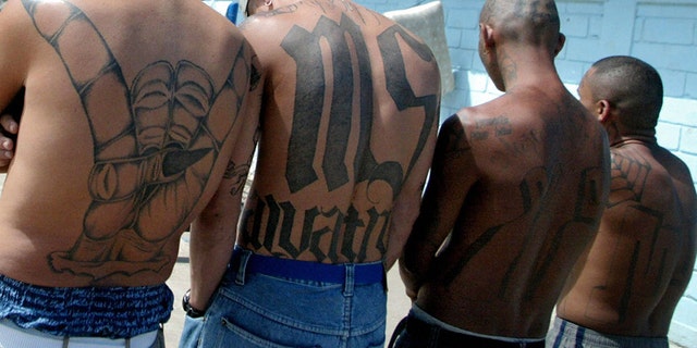 MS-13 gang members