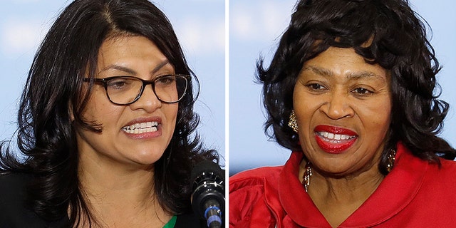 Voters will decide the contentious primary between Rep. Rashida Tlaib, D-Mich., and her primary challenger Brenda Jones Tuesday.