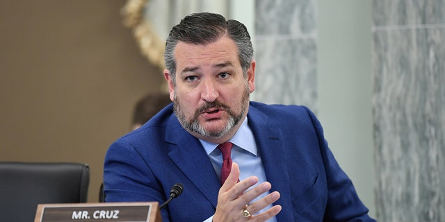 U.S. Senator Ted Cruz (R-TX) asks a question during an oversight hearing held by the U.S. Senate Commerce, Science, and Transportation Committee to examine the Federal Communications Commission (FCC) last month. (Jonathan Newton/Pool via REUTERS)