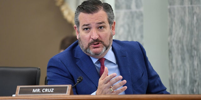 U.S. Senator Ted Cruz (R-TX).  (Jonathan Newton/Pool via REUTERS)