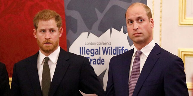 Jeudi, les responsables du palais ont annoncé que le prince Harry (à gauche) et son frère aîné, le prince William (à droite), ne marcheraient pas côte à côte lors des funérailles du prince Philip.