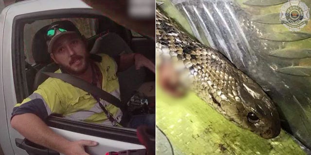 Jimmy told police he killed the snake and was rushing to a hospital.