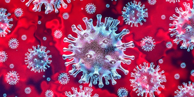 New York City just reached its first day in nearly four months without a single coronavirus death, according to preliminary numbers released Sunday. (iStock)