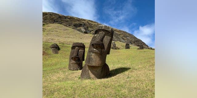 Genetic samples for the study were taken from inhabitants of South America, Mexico and Polynesia, including Easter Island, home to these famous statues. (Credit: Alexander Ioannidis)
