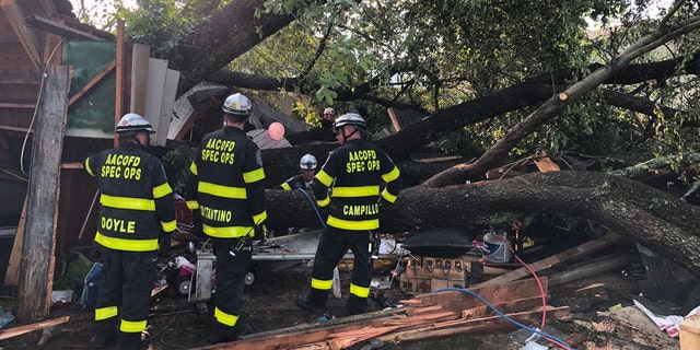 A total of 19 people were sent to area hospitals on July 5, 2020, after a large tree toppled onto a detached garage in a Maryland neighborhood where people attending a child's birthday party sought shelter from a severe thunderstorm.