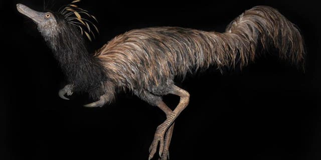 This life-size model of Trierarchuncus prairiensis was sculpted by Boban Filipovic and is on display at Badlands Dinosaur Museum, Dickinson, ND. (Credit: Badlands Dinosaur Museum)