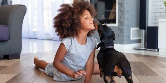 With pet adoptions and fostering on the rise through the pandemic, it might just be the perfect summer to expand the family with a playful pup.