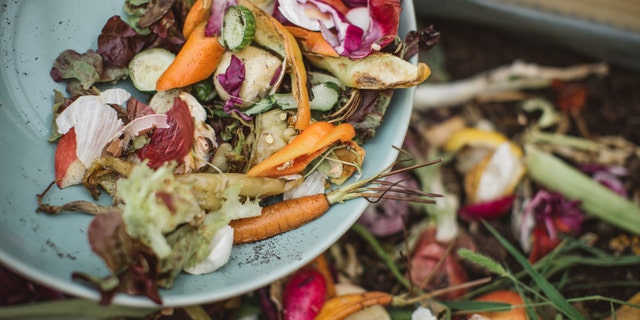 Vermonters are now asked to save leftovers like peels, rinds, cores, eggshells, coffee grounds and tea bags from the garbage, plus unfinished “plate scraps."