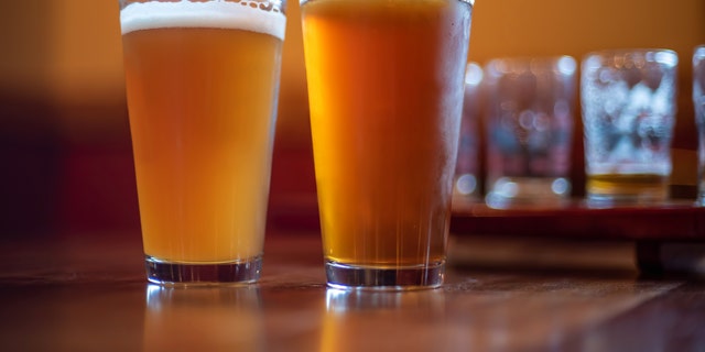 Pale ale and IPA <a data-cke-saved-href="https://www.foxnews.com/category/food-drink/drinks/beer" href="https://www.foxnews.com/category/food-drink/drinks/beer">beer drinkers</a> are more likely to be risk-takers and sensation-seekers, according to a new study.