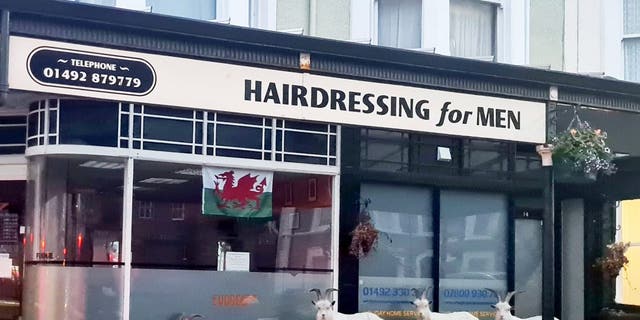 Mountain goats in Llandudno headed to a barbers in anticipation of a quick trim. (Credit: SWNS)”