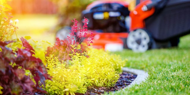 The number of calories burned doing yard work over the course of a year is reportedly enough to offset eating over 300 Big Macs from McDonald's.