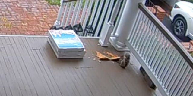 While the family did have to throw out the pizza, they were at least reportedly able to get a refund from Grubhub, who apparently didn’t ask any questions.