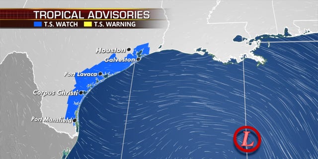 Tropical storm watches have been posted along the Texas coast.