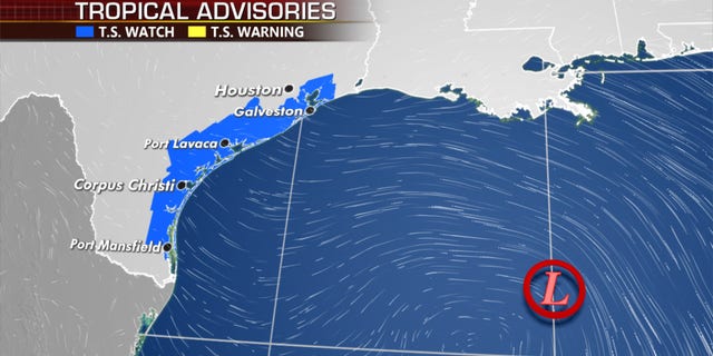 Tropical storm watches have been posted along the Texas coast.