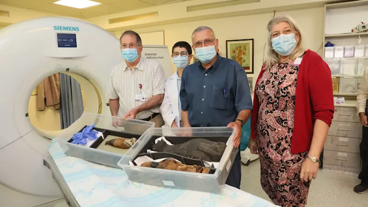 Archaeology team in Egypt find lion mummy at famed pyramid site