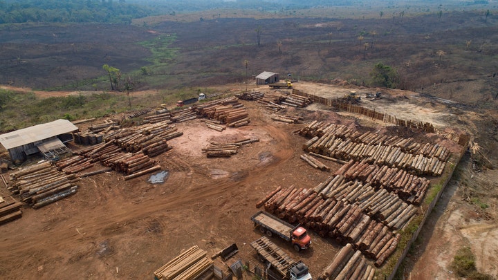 Brazilian govt. criticized for Amazon fire response