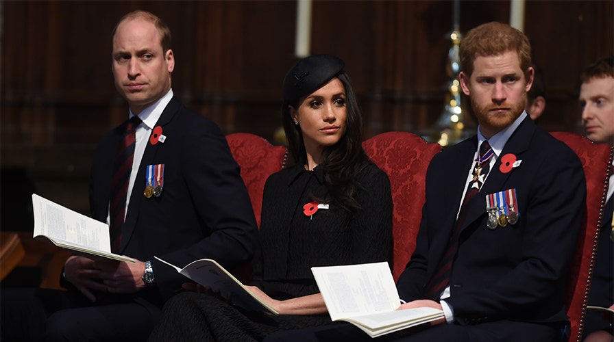 Prince William was wary about Prince Harry slamming the press about ...
