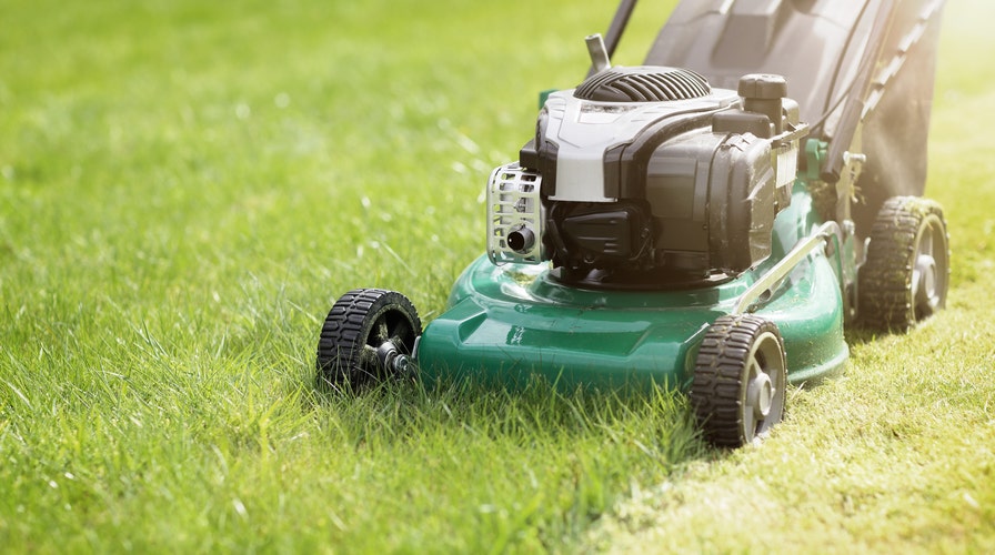 Tips to get your lawn looking its best for summer