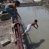 Youths swim to cool themselves off as the temperature soars in Peshawar, Pakistan, June 29, 2020. 