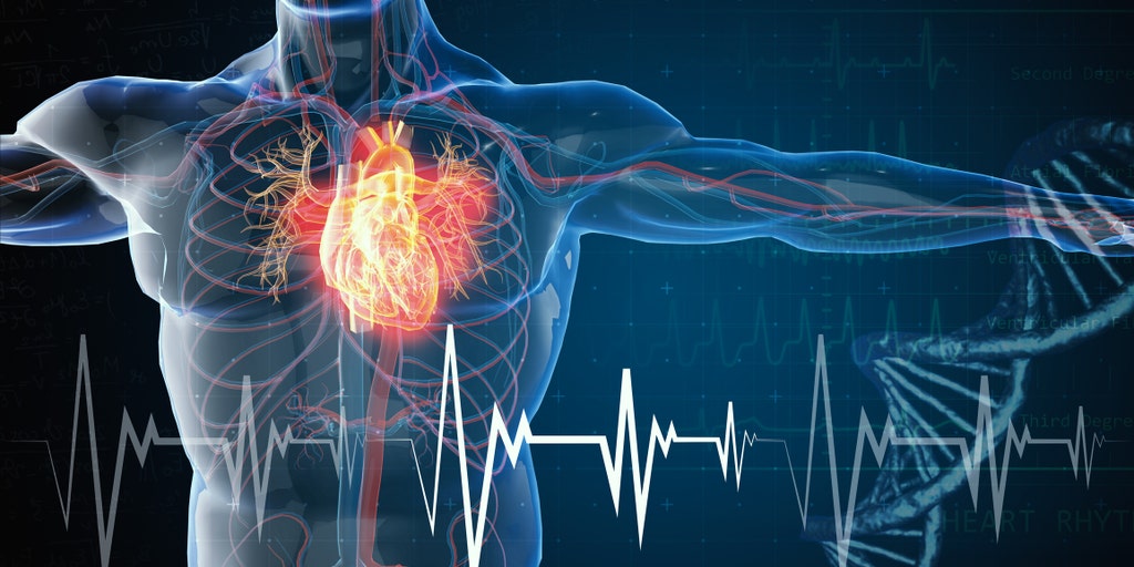 Wearable fitness trackers with sensing technology could interfere with implantable cardiac devices: study - Vimarsana News