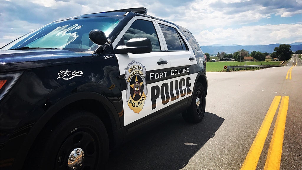 Pro Police Protesters Clash With Blm Demonstrators In Colorado Fox News Pro Police Protesters Clash With Blm Demonstrators In Colorado Fox News