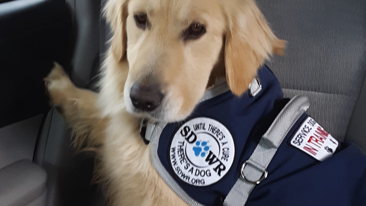 Leary's SDWR dog (Credit: Erin Leary)