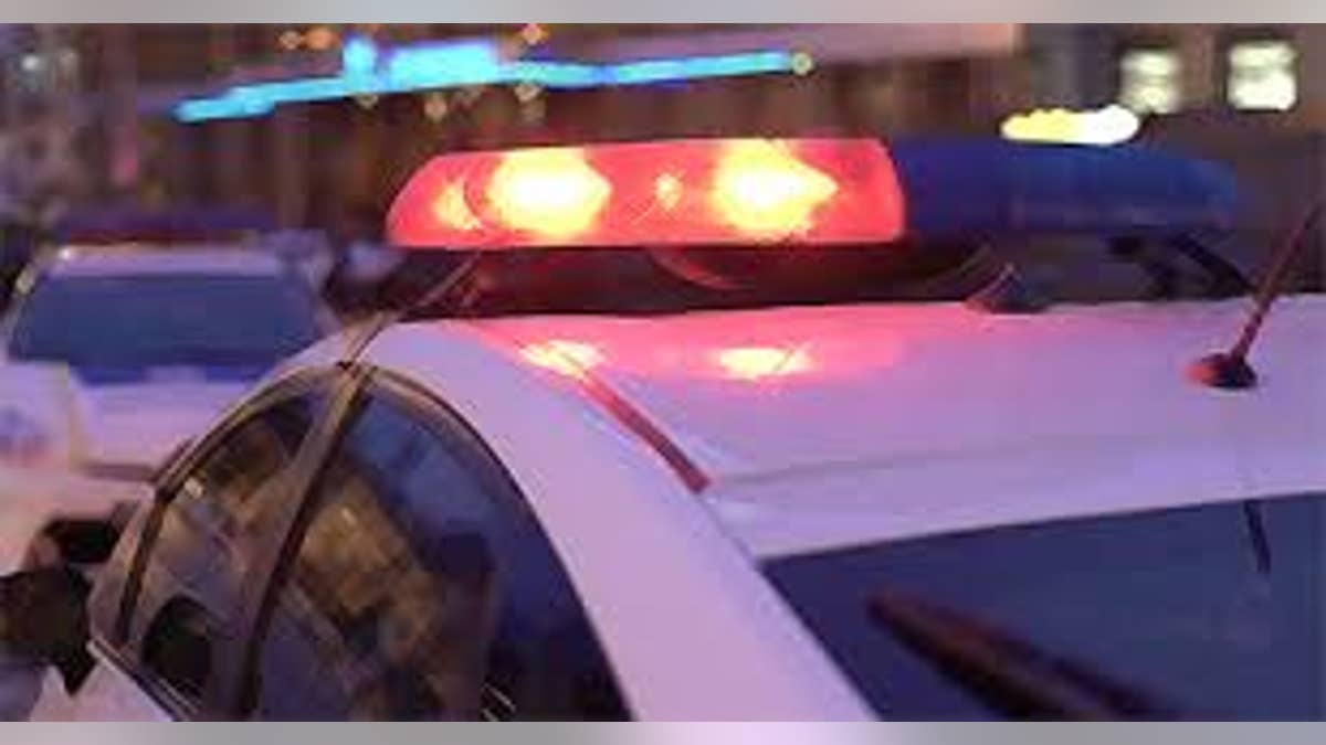 NYPD arrested Denery Steven Lemus-Najarro in January on weapons-related charges.
