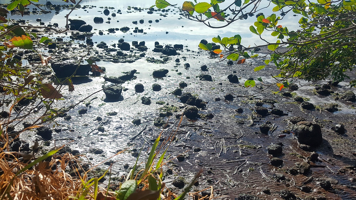 This photo taken and provided by Sophie Seneque, shows debris in Riviere des Creoles, Mauritius, Sunday Aug. 9, 2020, after it leaked from the MV Wakashio.