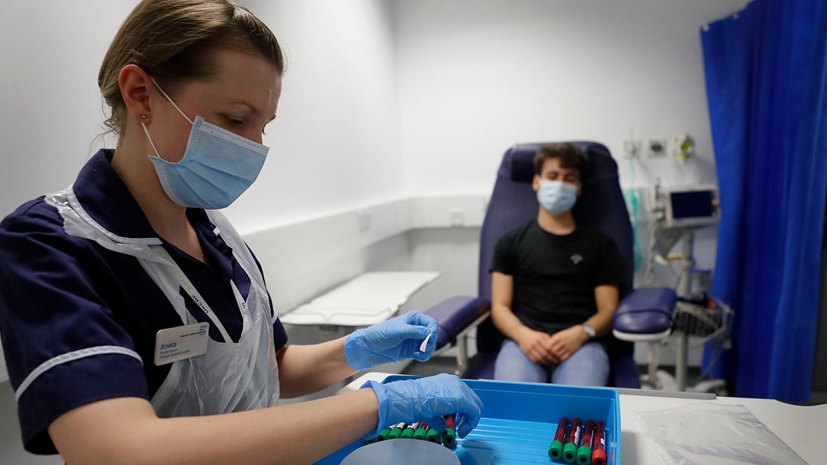 Clinical Research Nurse Aneta Gupta labels blood samples from volunteer Yash during the Imperial College vaccine trial, at a clinic in London, Wednesday, Aug. 5, 2020. (Associated Press)