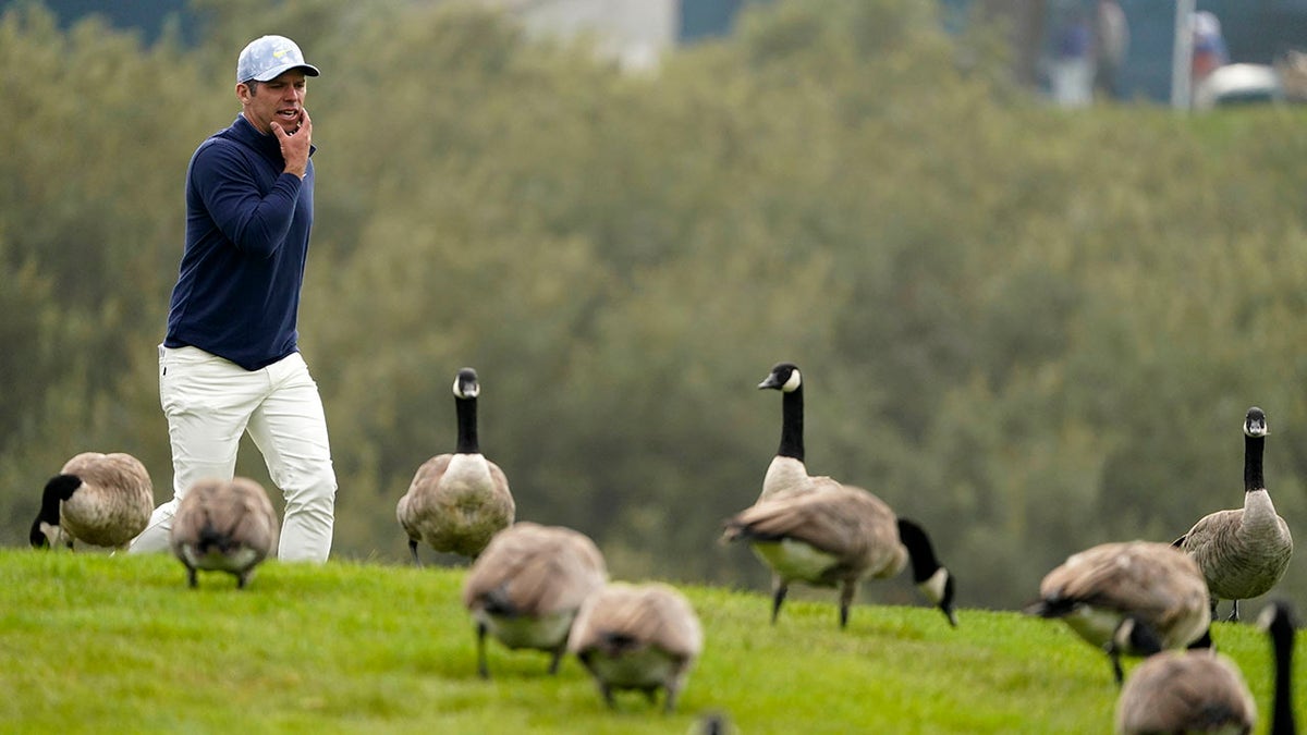 Paul Casey walks past a flock of geese on the 18th hole during the third round of the PGA Championship golf tournament at TPC Harding Park Saturday, Aug. 8, 2020, in San Francisco. (Associated Press)