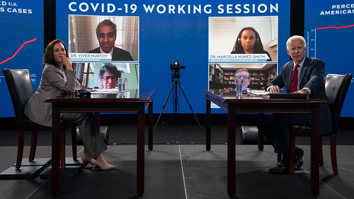 Democratic presidential candidate former Vice President Joe Biden and his running mate Sen. Kamala Harris, D-Calif., talk to media during a virtual briefing on COVID-19 from public health experts in Wilmington, Del., Thursday, Aug. 13, 2020. (AP Photo/Carolyn Kaster)