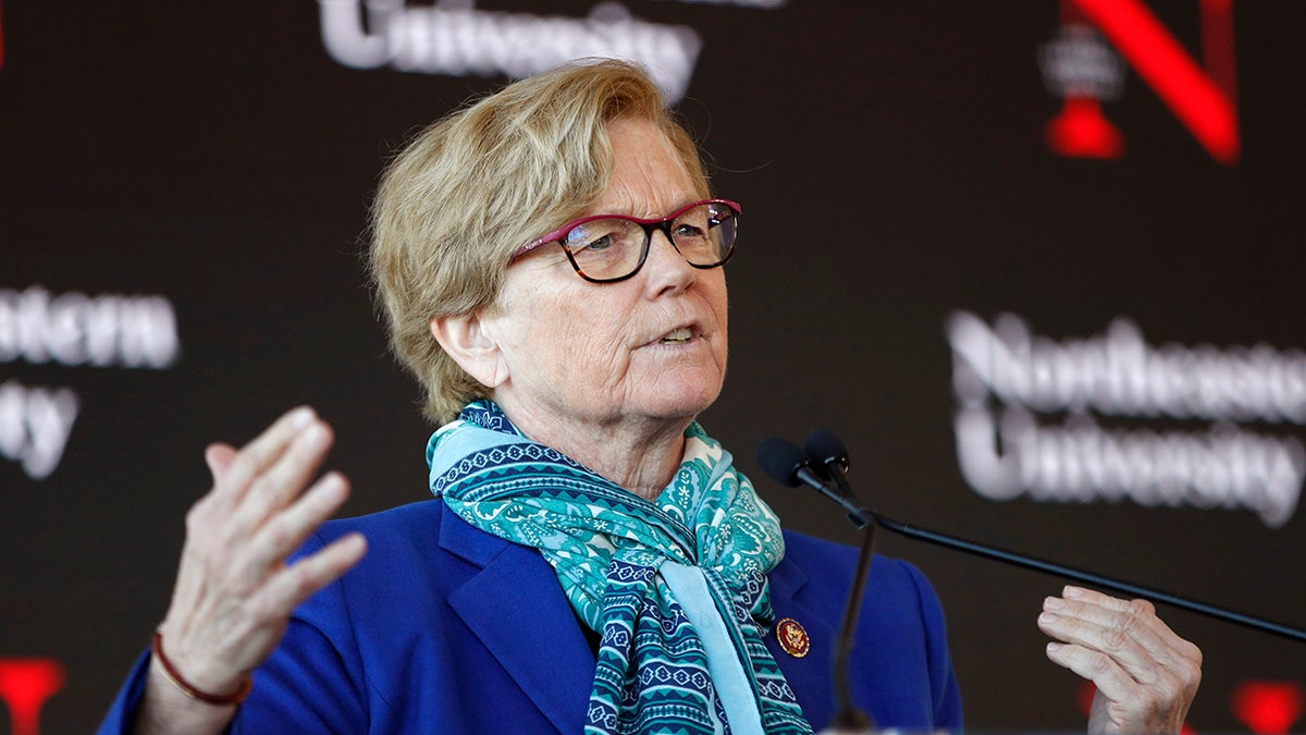 In this Jan. 27, 2020, file photo, Rep. Chellie Pingree, D-Maine, speaks a news conference in Portland, Maine. At least 4,800 chicks shipped to Maine farmers through the U.S. Postal Service have arrived dead in the recent weeks since rapid cuts hit the federal mail carrier's operations, Pingree said.(AP Photo/Robert F. Bukaty, File)