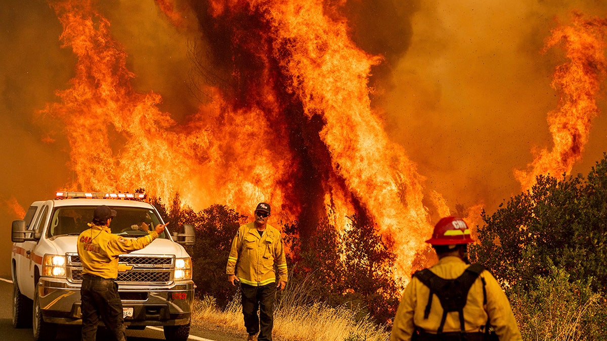 Flames from the LNU Lightning Complex fires leap above Butts Canyon Road on Sunday, Aug. 23, 2020, as firefighters work to contain the blaze in unincorporated Lake County, Calif. (AP Photo/Noah Berger)