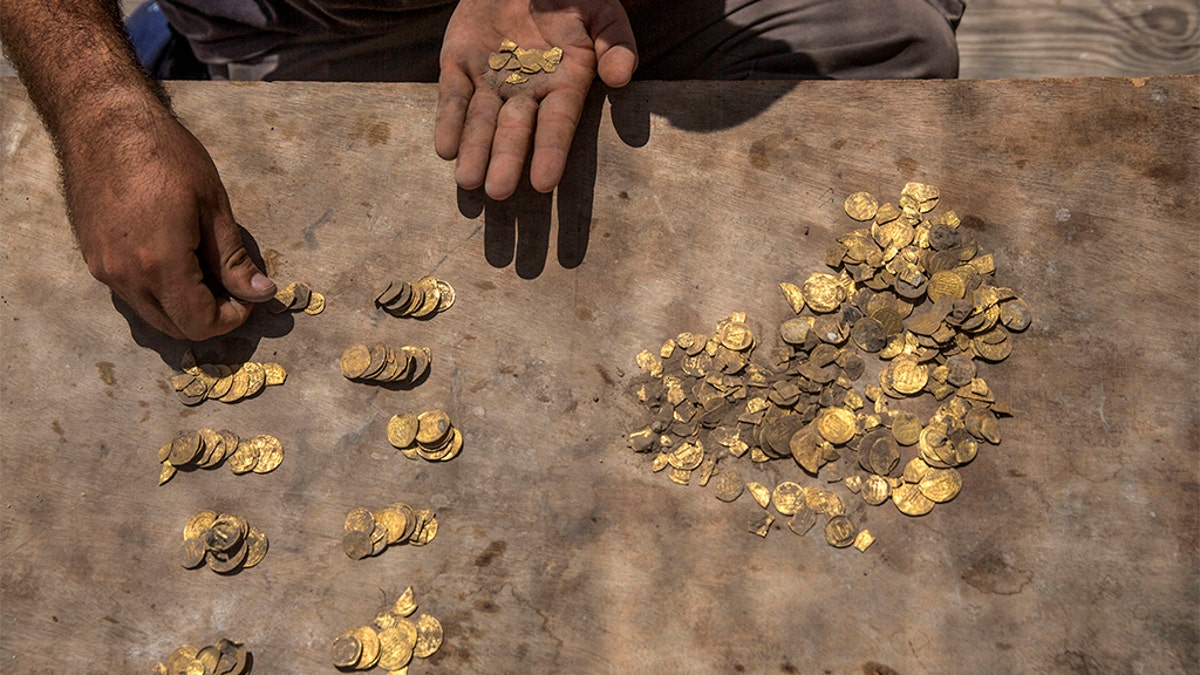 Israeli archaeologist Shahar Krispin counts gold coins buried in a pottery vessel that was discovered at an archeological site in central Israel, Tuesday, Aug 18, 2020. Israeli archaeologists have announced the discovery of a trove of early Islamic gold coins during recent salvage excavations near the central city of Yavn Tel Aviv. The collection of 425 complete gold coins, most dating to the Abbasid period around 1,100 years ago, is a "extremely rare" find. (AP Photo/Sipa Press, Heidi Levine, Pool)