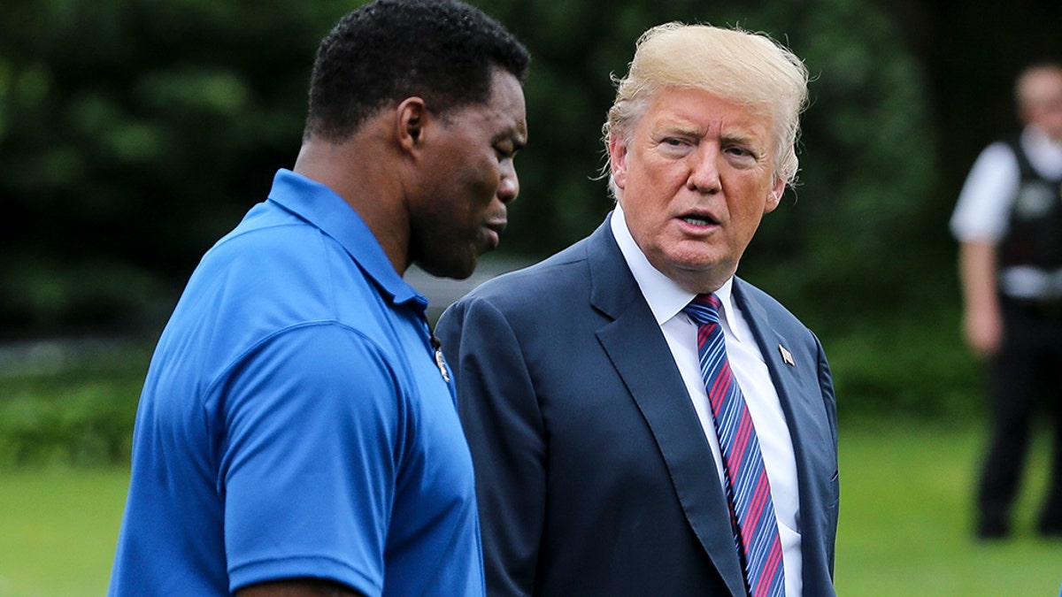 Then-President Donald Trump and Herschel Walker walk as they watch young participants during the White House Sports and Fitness Day on the South Lawn on May 30, 2018 in Washington, D.C. (Photo by Oliver Contreras-Pool/Getty Images)