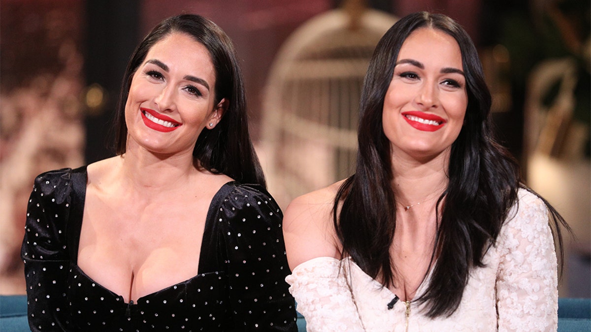 Nikki and Brie Bella gave birth one day apart Honestly only us Fox News picture