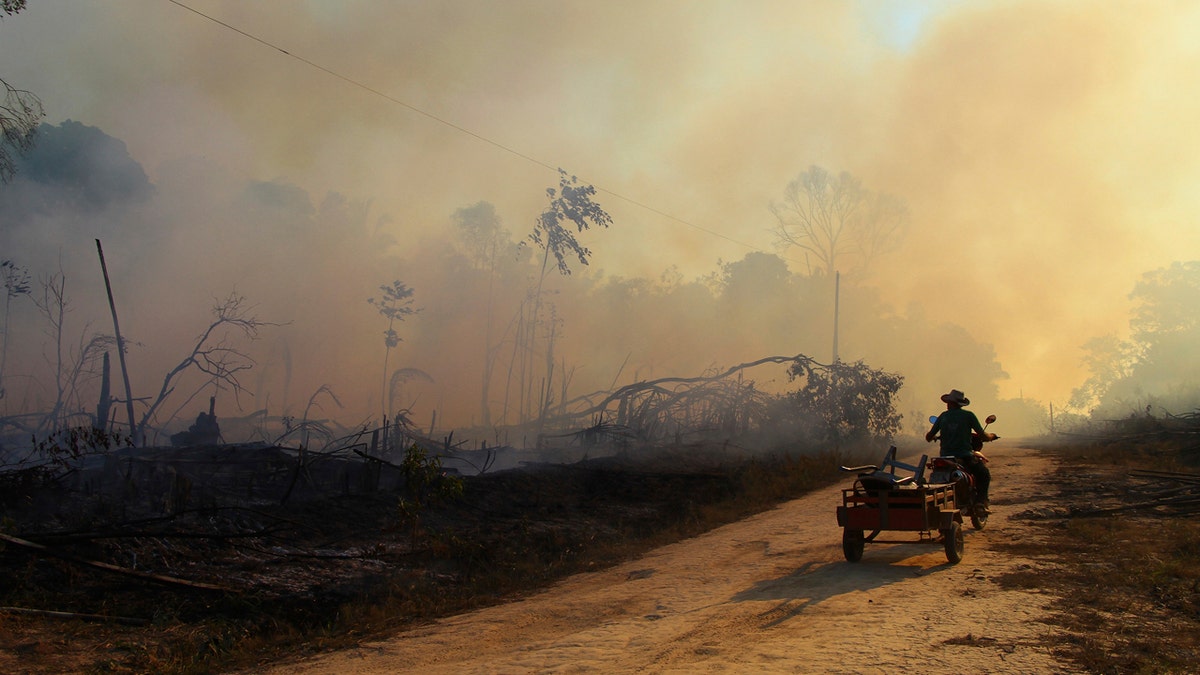 A man rides a motorbike pulling a cart along a paved dirt road in an area scorched by fires near Labrea, Amazonas state, Brazil, Friday, Aug. 7, 2020.