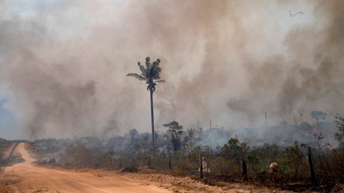 Clouds of smoke billow from a field consumed by fire near Novo Progresso, Para state, Brazil, Saturday, Aug. 15, 2020.