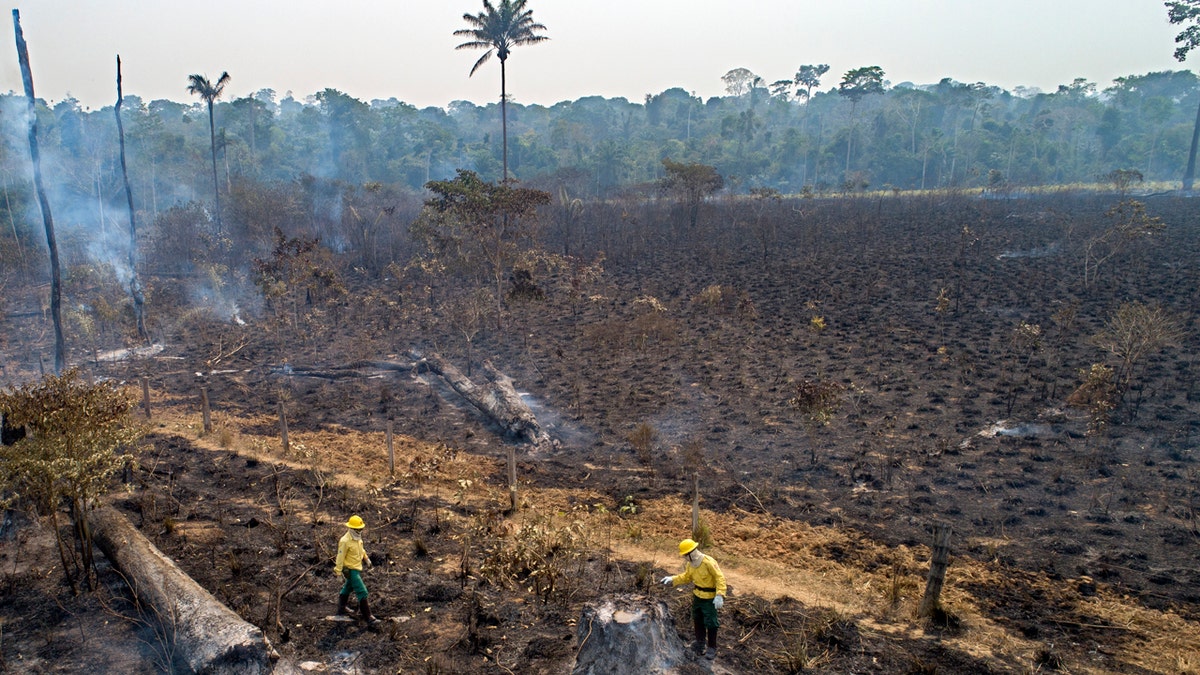 Workers from Brazil's state-run environment agency IBAMA check an area consumed by fire near Novo Progresso, Para state, Brazil, Tuesday, Aug. 18, 2020.