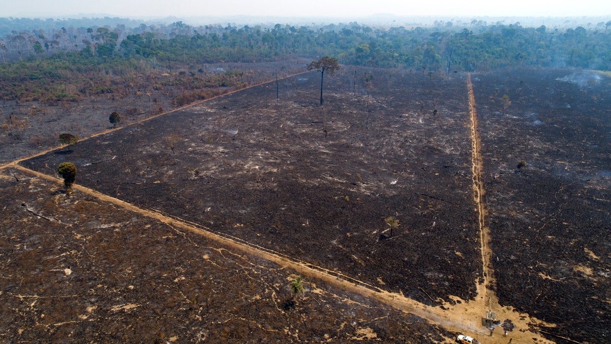 An aerial view of an area consumed by fire and cleared near Novo Progresso in Para state, Brazil, Tuesday, Aug. 18, 2020.