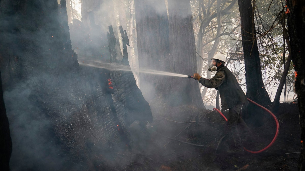 In this Aug. 21, 2020, file photo, Jesse Katz joins the firefighting effort as a civilian volunteer battling the CZU Lightning Complex Fire in Bonny Doon, Calif.