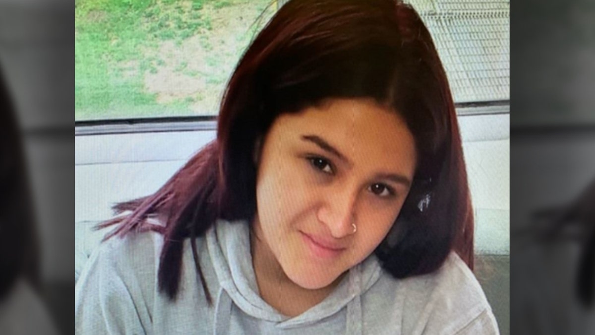 Baltimore County police said the five suspects lured Gabriela Alejandra Gonzalez Ardon, 16, to Loch Raven Reservoir and killed her because of her possible affiliation with another rival gang. (Nassau County Police Department)