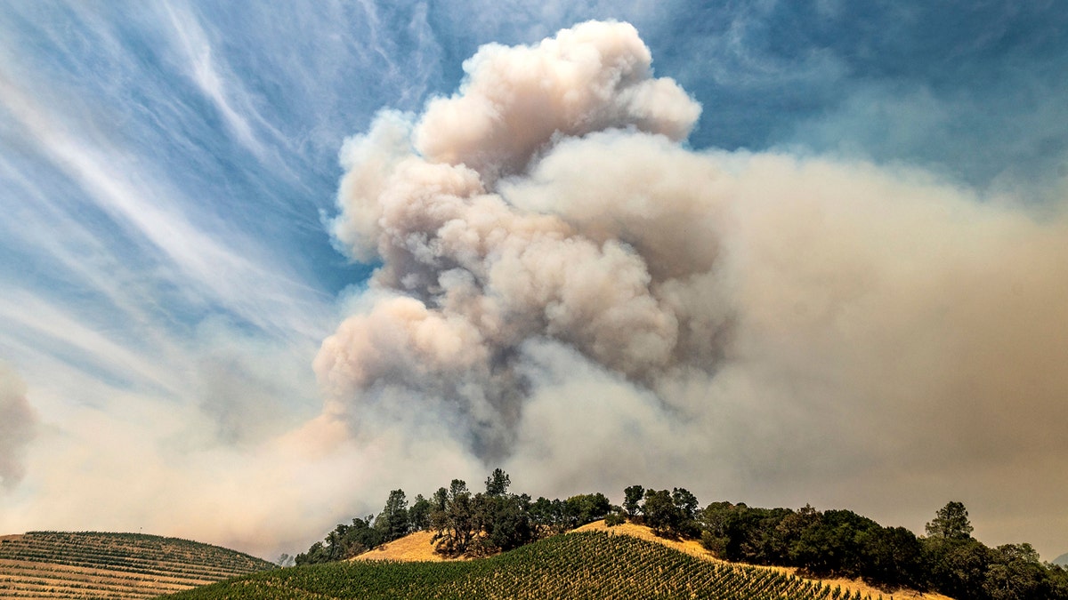 A plume rises over a vineyard in unincorporated Napa County as the Hennessey Fire burns on Tuesday, Aug. 18, 2020.