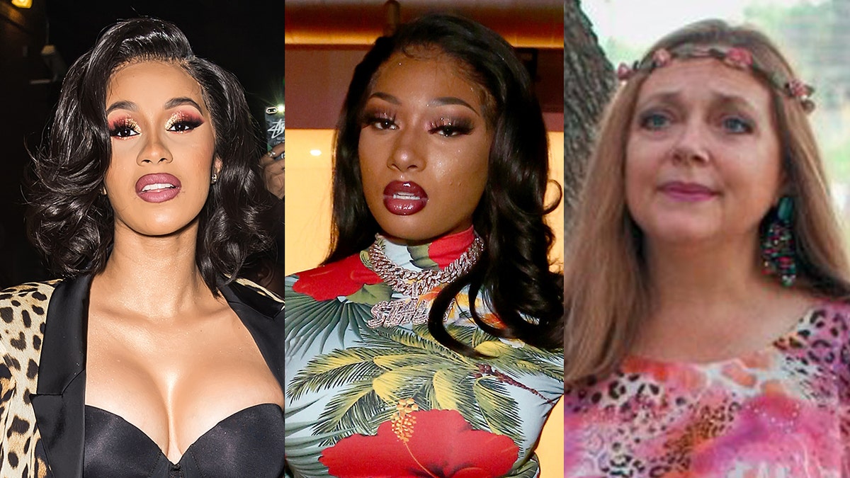 Cardi B and Megan Thee Stallion were called out by 'Tiger King' star Carole Baskin over their new 'WAP' music video.